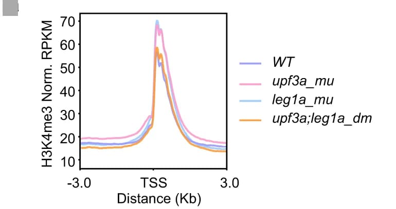 Open access visualization of Line Plot, H3K4me3, Liver, Embryos, Transcription Start Site