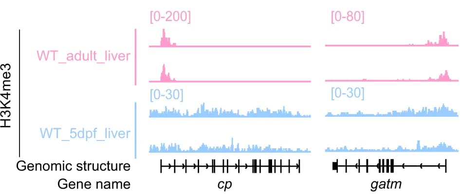 Open access visualization of Line Plot, Density Plot, Genome Browser View, Genomic Region, TSS