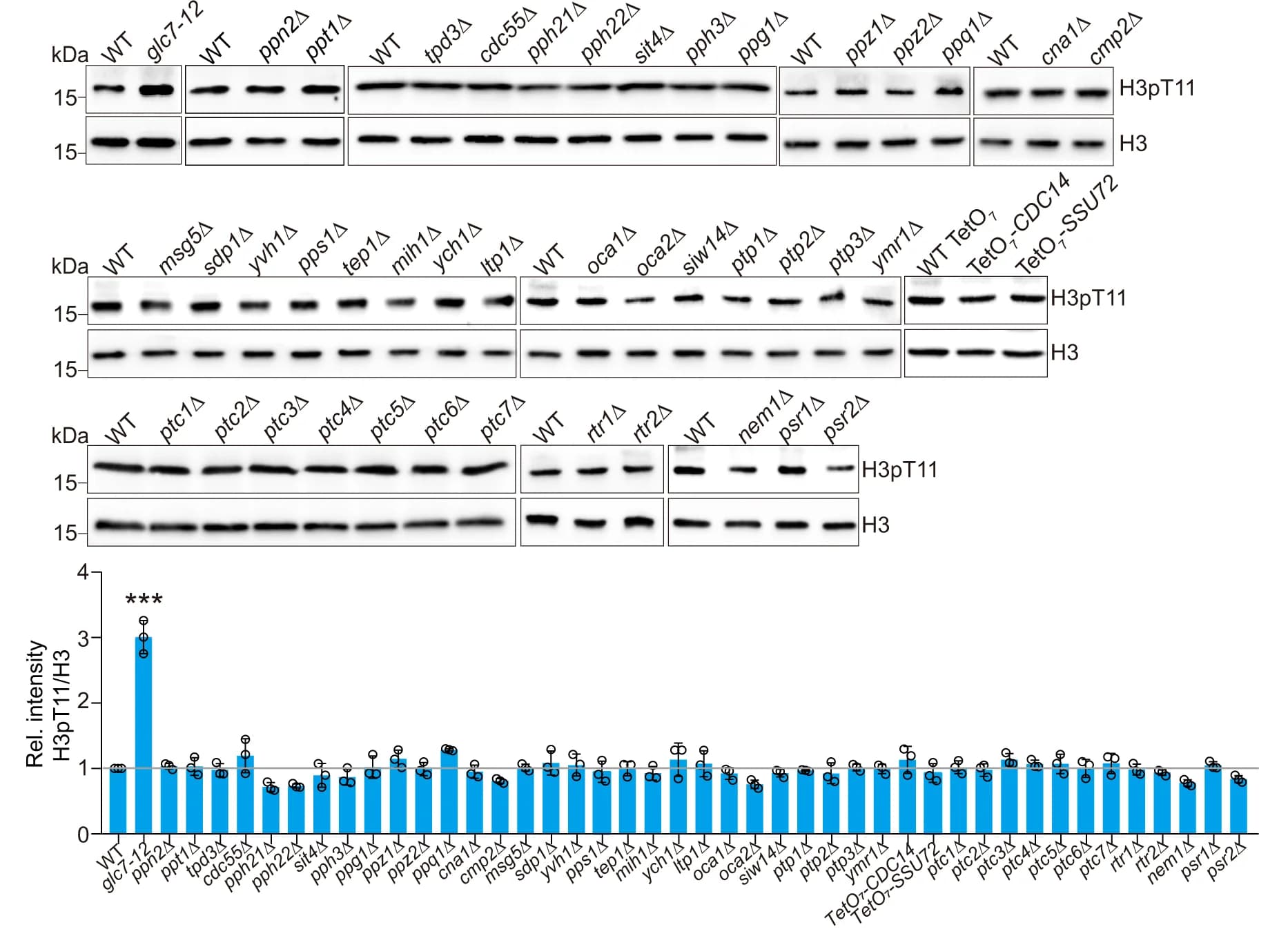 Open access visualization of Bar Plot, Error Bars, Photo, Gel, Immunoblot