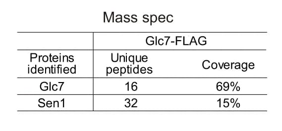 Open access visualization of Table Image, IP-MS, Proteins, Glc7-FLAG, Yeast Cells