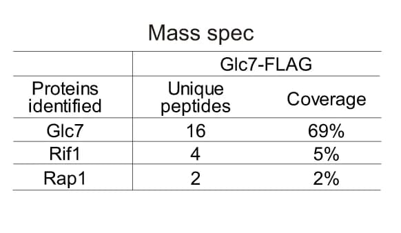 Open access visualization of Table Image, IP-MS, Proteins, Glc7-FLAG, Peptides