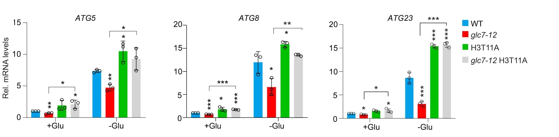 Open access visualization of Bar Plot, Error Bars, Scatter Plot, ATG Gene Transcription, Wild-Type