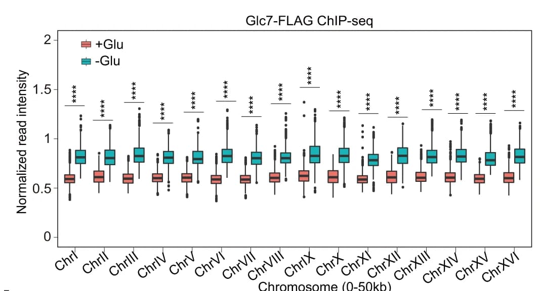 Open access visualization of Box Plot, ChIP-seq Analysis, Glc7-FLAG Binding, Subtelomere Regions, Growth Medium