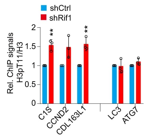 Open access visualization of Bar Plot, Error Bars, Clustered, ChIP-qPCR, H3pT11/H3 occupancy