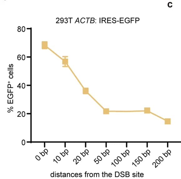 Open access visualization of Line Plot, Error Bars, Editing Efficiency, PAINT, IRES-EGFP