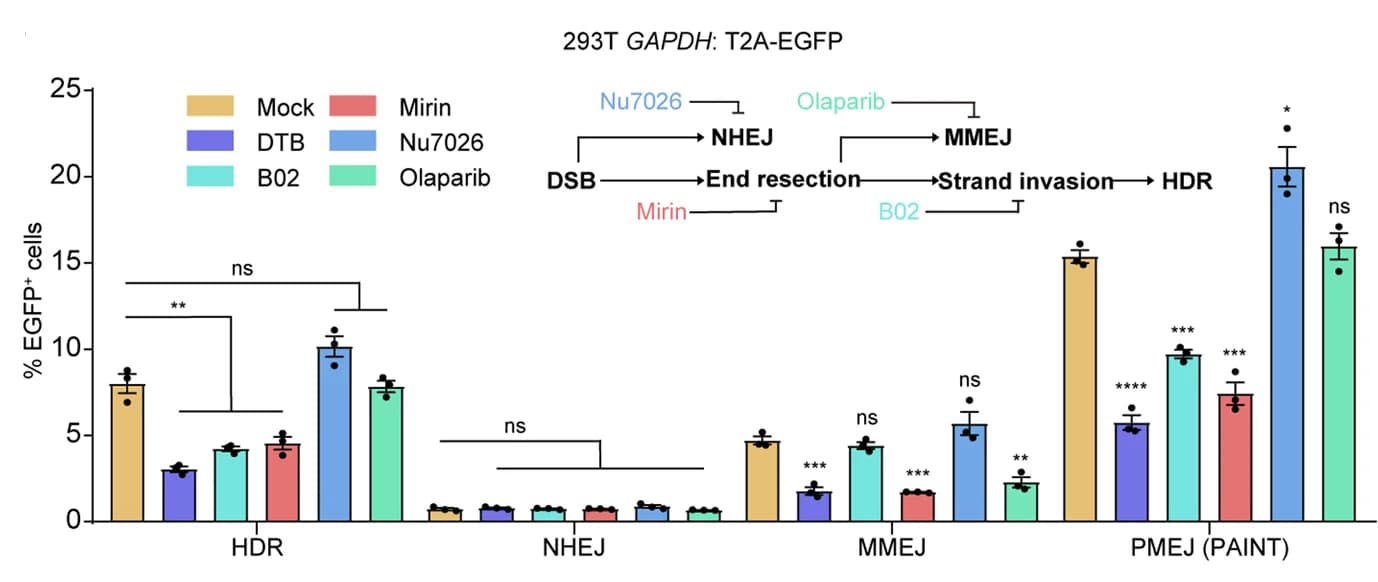 Open access visualization of Bar Plot, Error Bars, Editing Efficiency, HDR, NHEJ