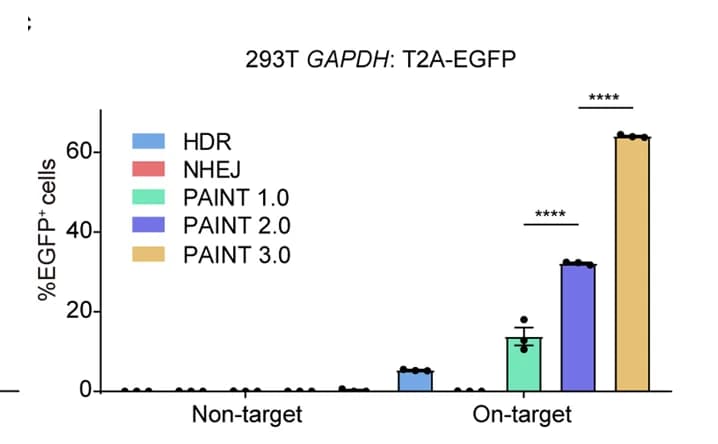 Open access visualization of Bar Plot, Error Bars, Clustered, HDR, NHEJ