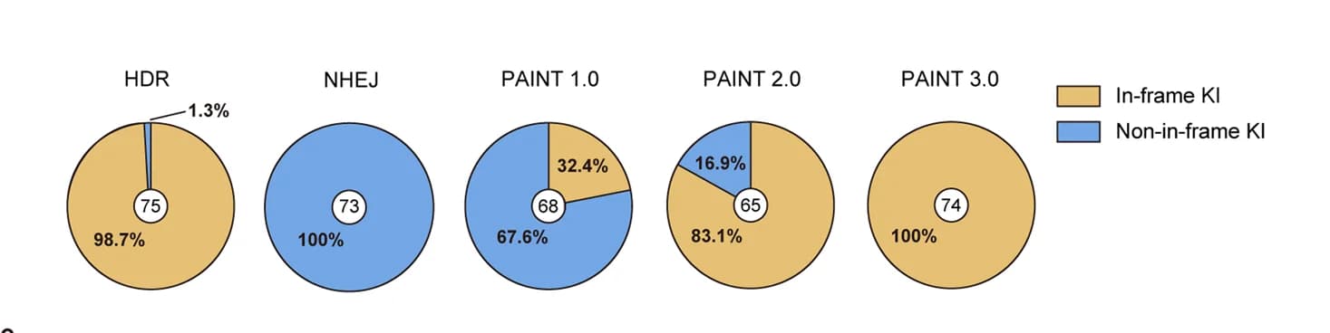 Open access visualization of Pie Chart, 3'-junctions, Edited Alleles, Sanger Sequencing, In-frame KIs