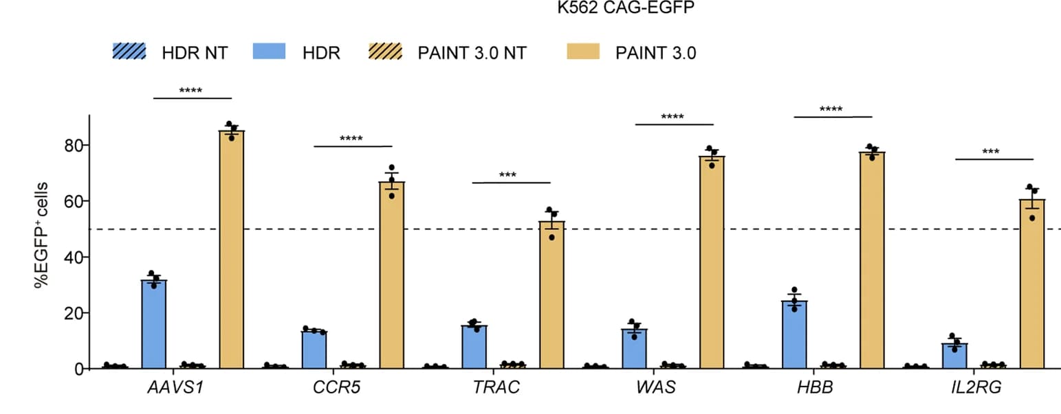 Open access visualization of Bar Plot, Error Bars, Clustered, PAINT 3.0, CAG-EGFP integration
