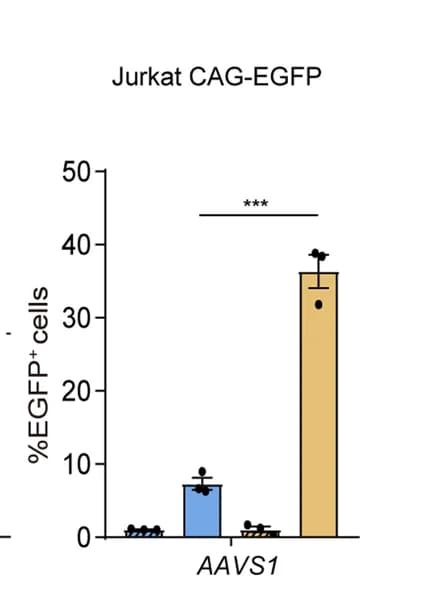 Open access visualization of Bar Plot, Error Bars, PAINT 3.0, CAG-EGFP integration, AAVS1 locus