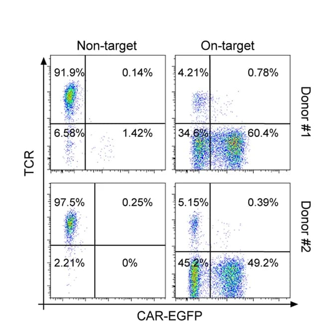 Open access visualization of Scatter Plot, FACS scatter plots, PAINT 3.0, Primary T Cells, Editing efficiency