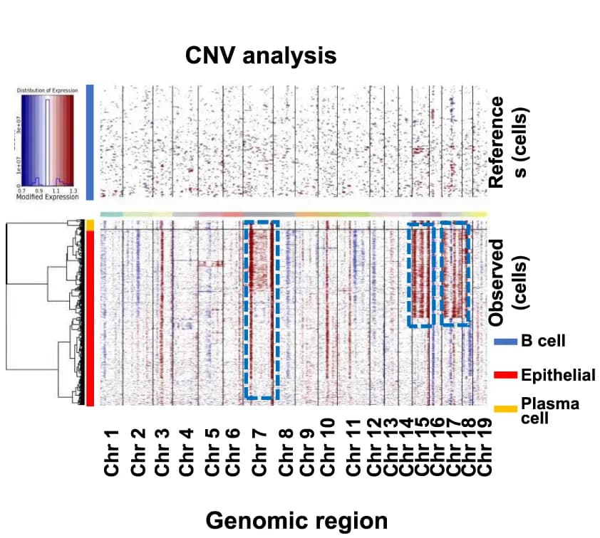 Open access visualization of Heatmap, Clustered, CNVs, Epithelium, Tumor Samples