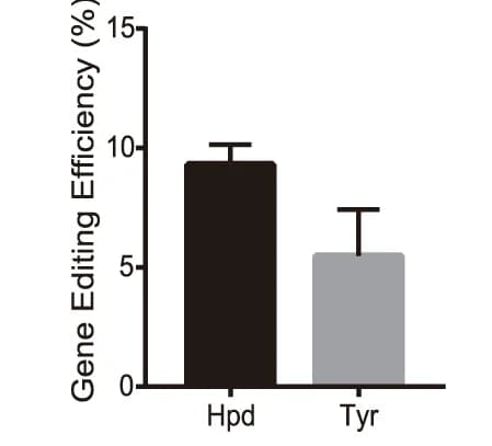 Open access visualization of Bar Plot, Error Bars, In Vitro Editing, Mouse Hpd Gene, Mouse Tyr Gene