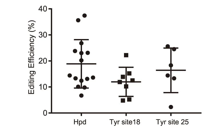 Open access visualization of Scatter Plot, Error Bars, Gene Editing Efficiency, Mice, Embryonic Injection