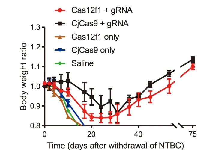 Open access visualization of Line Plot, Error Bars, Mouse Weight Analysis, AAV-CjCas9, AAV-Un1Cas12f1