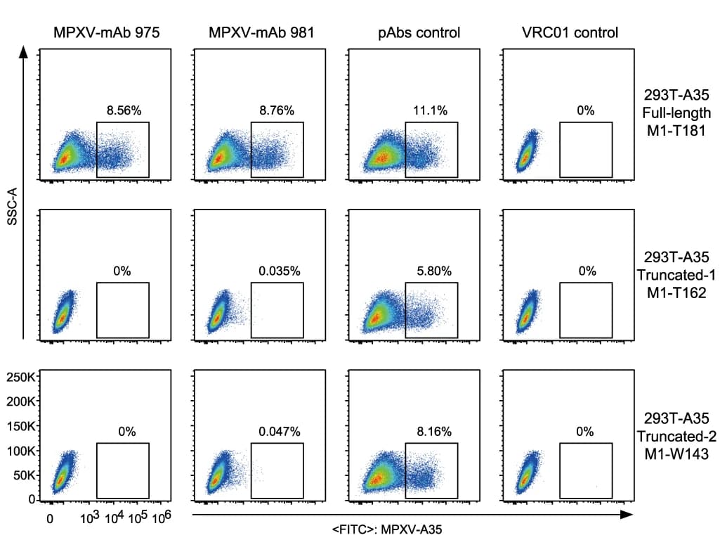 Open access visualization of Scatter Plot, ELISA, Plasma IgG, VACV, MPXV