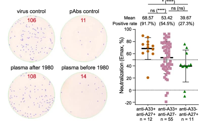 Open access visualization of Scatter Plot, Error Bars, Neutralization, Plasma, IgG