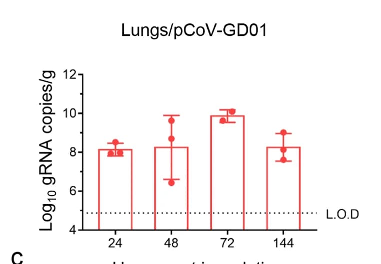 Open access visualization of Bar Plot, Error Bars, Scatter Plot, Viral gRNA, Lungs
