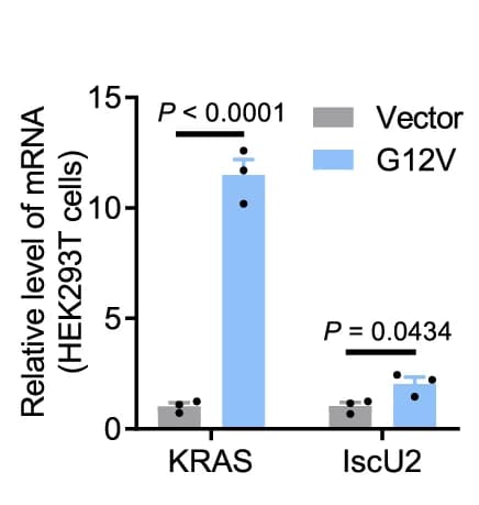 Open access visualization of Bar Plot, Error Bars, mRNA Expression Analysis, KRAS, IscU2