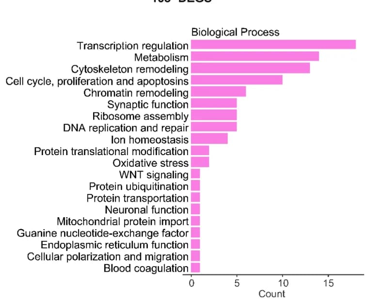 Open access visualization of Bar Plot, Functional Enrichment Analysis, Differentially Expressed Genes, PaTu-8988t Cells, IscU2 siRNA