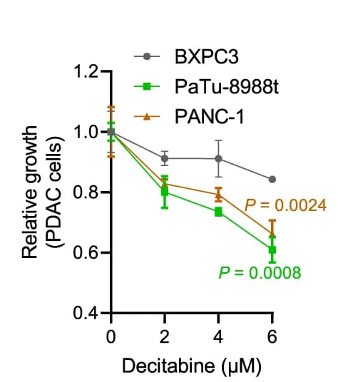Open access visualization of Line Plot, Error Bars, BXPC3 Cells, PaTu-8988t Cells, PANC-1 Cells