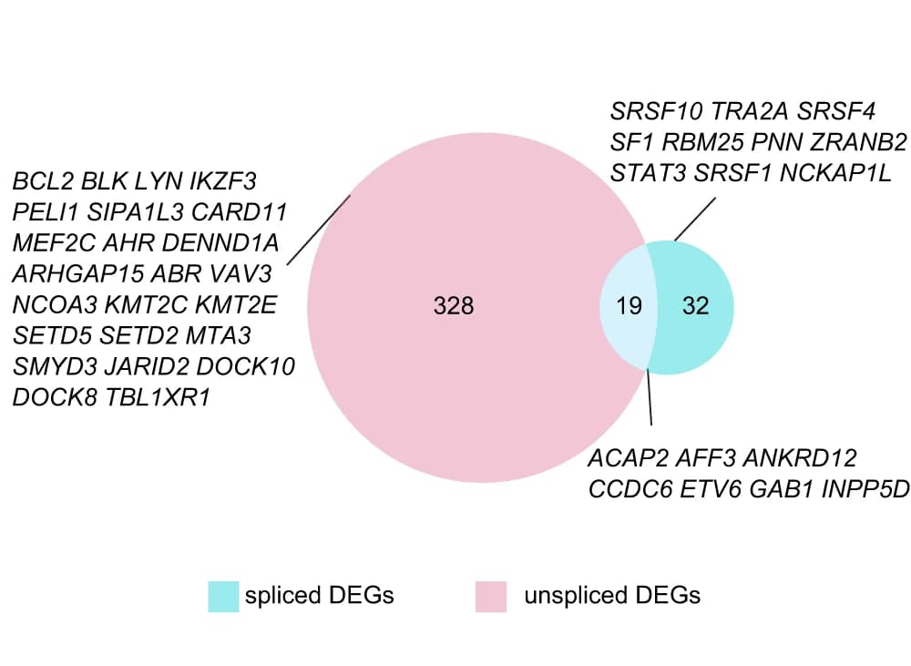 Open access visualization of Venn Diagram, DEGs, Unspliced gene counts, Spliced gene counts, Nodes