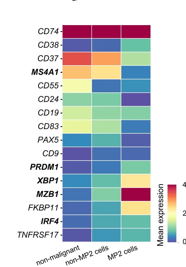 Open access visualization of Heatmap, Expression Levels, Functional Genes, B Cells