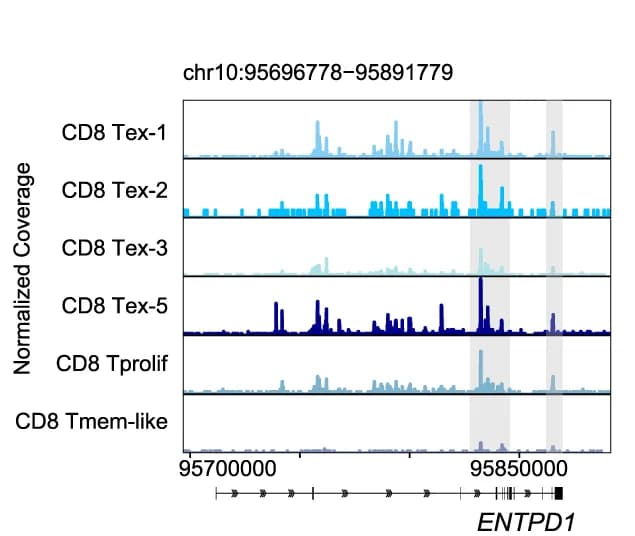 Open access visualization of Line Plot, Density Plot, Genome Tracking Plot, Genomic Peaks, ENTPD1
