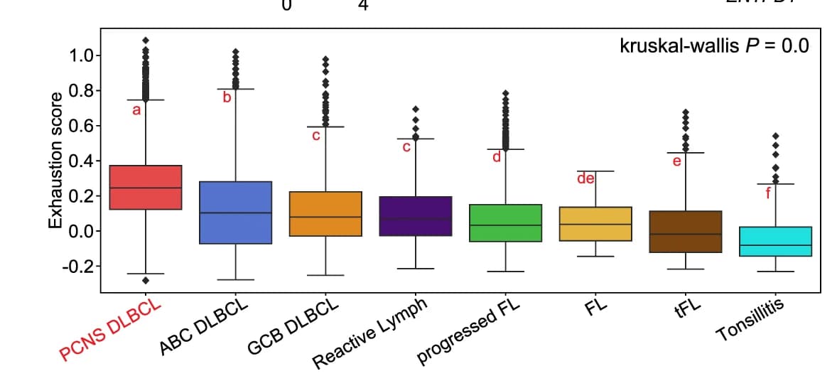 Open access visualization of Box Plot, Boxplot, Exhaustion Scores, CD8 T Cells, B-Cell Lymphoma
