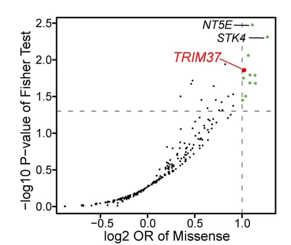 Open access visualization of Volcano Plot, Scatter Plot, Genetic Burden Test, Recurrent Infections, Fisher Test