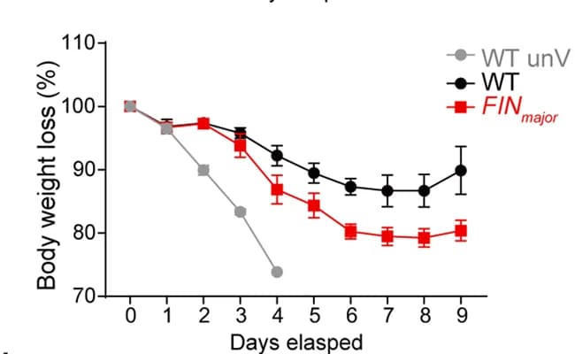 Open access visualization of Line Plot, Error Bars, Vaccination, WT Mice, FIN Major Mice