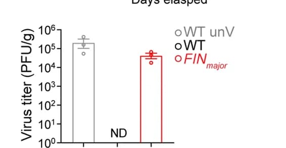 Open access visualization of Bar Plot, Error Bars, Virus Titers, Lungs, Influenza Virus Infection