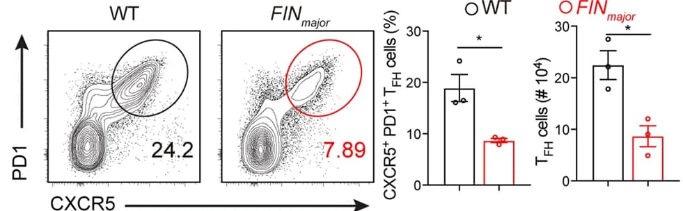 Open access visualization of Scatter Plot, Bar Plot, Error Bars, Flow Cytometry, CXCR5+ PD1+ T FH Cells