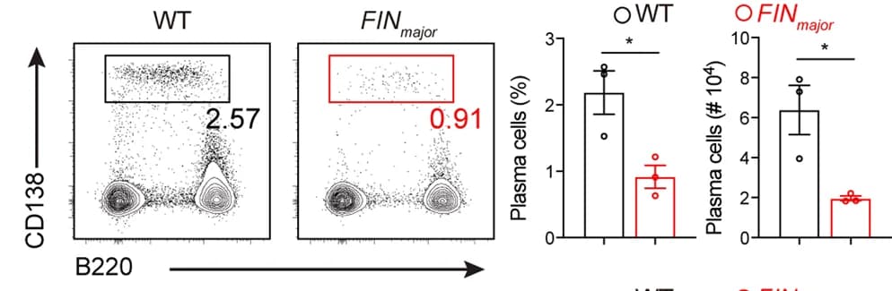 Open access visualization of Scatter Plot, Bar Plot, Error Bars, Flow Cytometry, B220 lo CD138 hi Plasma Cells