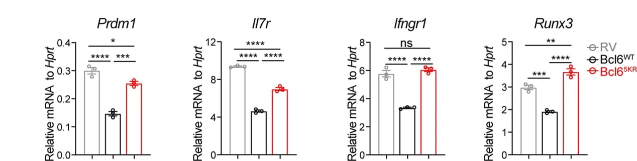 Open access visualization of Bar Plot, Error Bars, mRNA Expression, Prdm1, Il7r