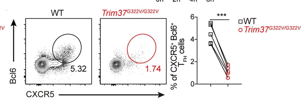 Open access visualization of Scatter Plot, Line Plot, Flow cytometry, CD45.1, CD45.2