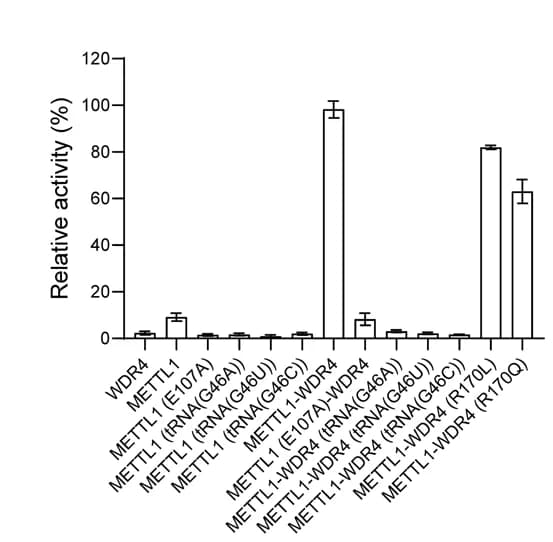 Open access visualization of Bar Plot, Error Bars, Methyltransferase Activity, METTL1, WDR4