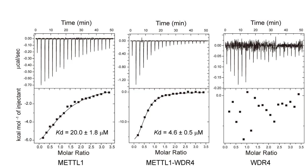 Open access visualization of Line Plot, Scatter Plot, ITC, Binding Affinity, SAM