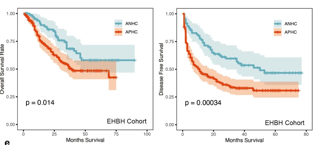 Open access visualization of Survival Curve, Error Bars, Line Step, Kaplan-Meier Plots, Overall Survival