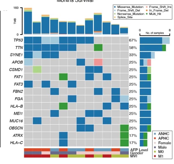 Open access visualization of Heatmap, Bar Plot, Stacked Bar Plot, WGS Analysis, scRNA-seq