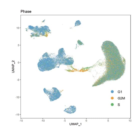 Open access visualization of Scatter Plot, UMAP, Cell Cycle, Heterogeneity, ANHC
