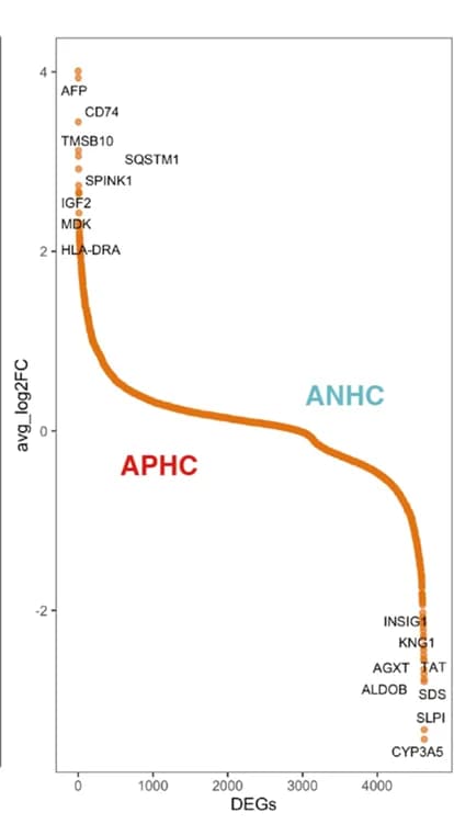 Open access visualization of Line Plot, Scatter Plot, Differentially Expressed Genes, APHC, ANHC