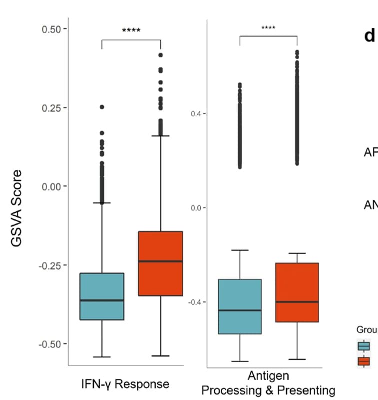 Open access visualization of Box Plot, Boxplots, IFN-gamma Response, Antigen Processing, Antigen Presentation