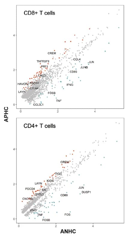 Open access visualization of Scatter Plot, Scatter Plots, Differentially Expressed Genes, CD8+ T Cells, CD4+ T Cells
