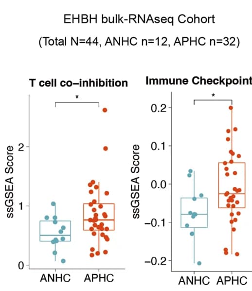 Open access visualization of Box Plot, Scatter Plot, Boxplots, Gene Expression, T Cell Immunity