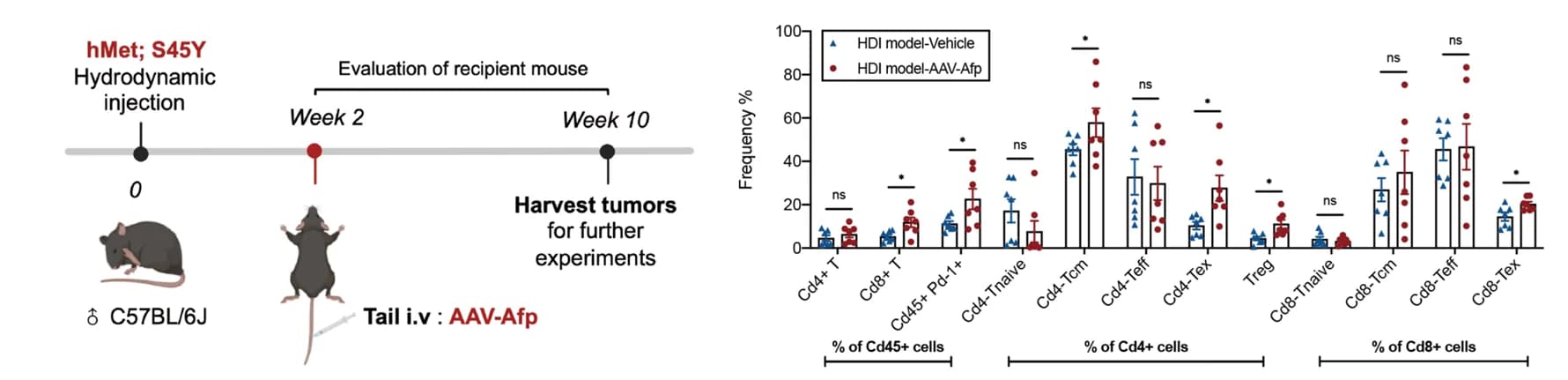 Open access visualization of Bar Plot, Error Bars, Scatter Plot, Experimental Procedure, T Cell Subsets