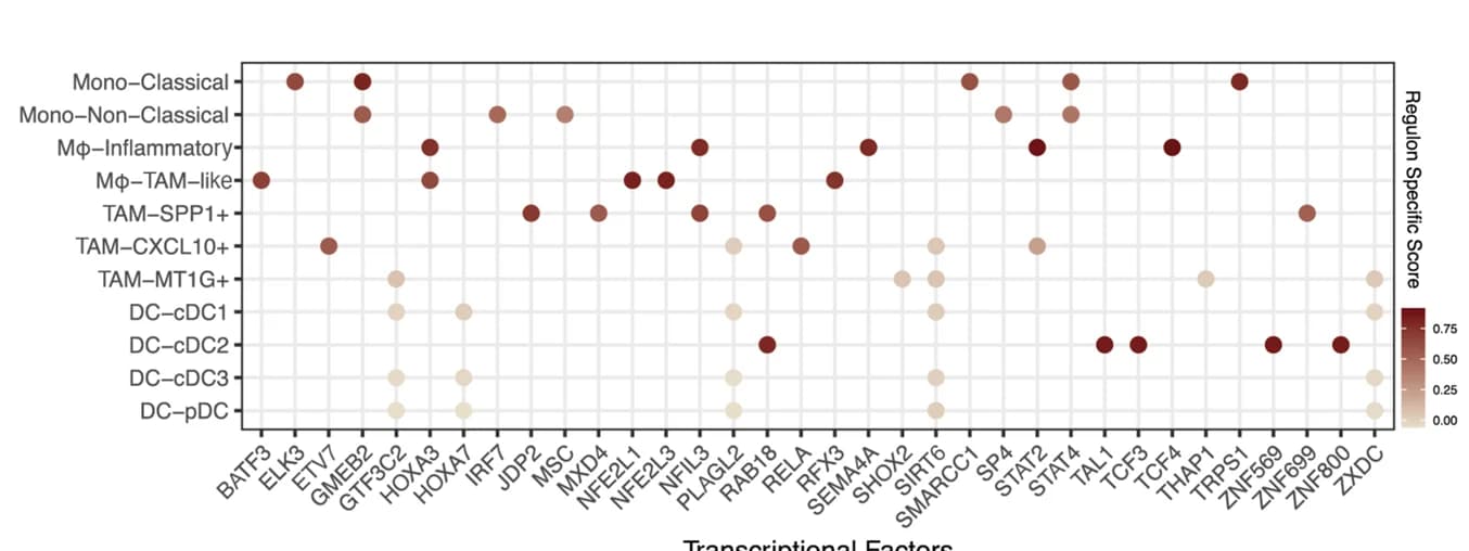 Open access visualization of Scatter Plot, Transcriptional Factors, Myeloid Cells