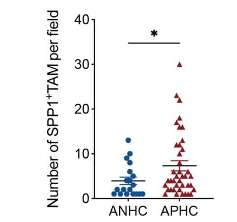 Open access visualization of Scatter Plot, TAM-SPP1, Cells, ANHC, APHC