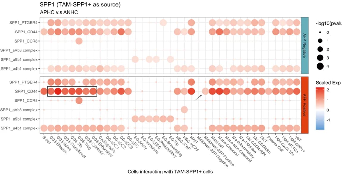 Open access visualization of Bubble Plot, Receptor-ligand pair analysis, TAM-SPP1, Cell types