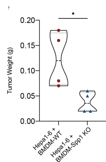 Open access visualization of Violin Plot, Tumor weight, Subcutaneous co-transplantation model